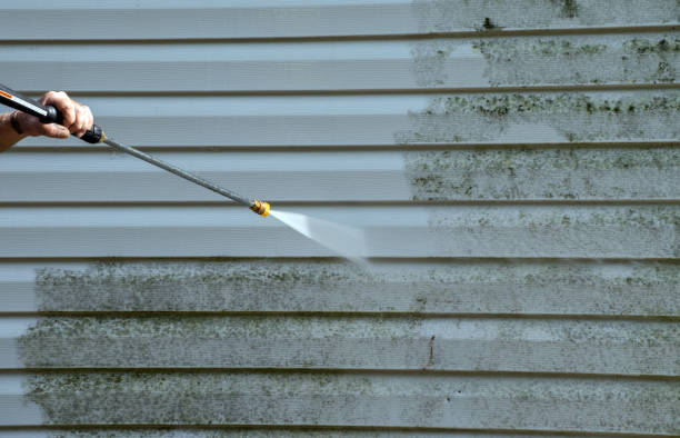 Best Mold Damage Repair  in Snoqualmie, WA