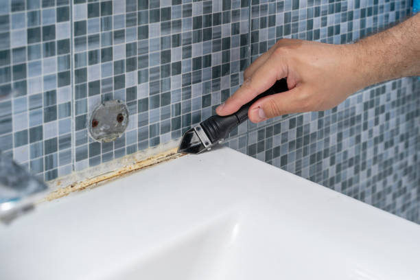 Best Mold Testing  in Snoqualmie, WA